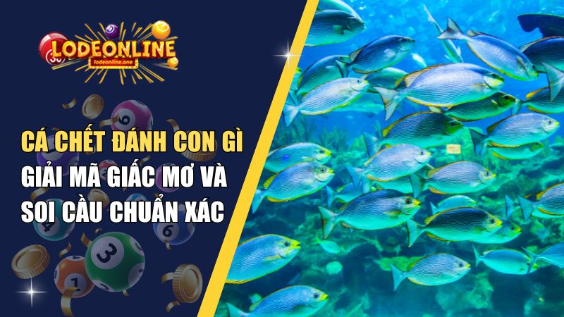 Cá Chết Đánh Con Gì? Giải Mã Giấc Mơ Và Soi Cầu Chuẩn Xác