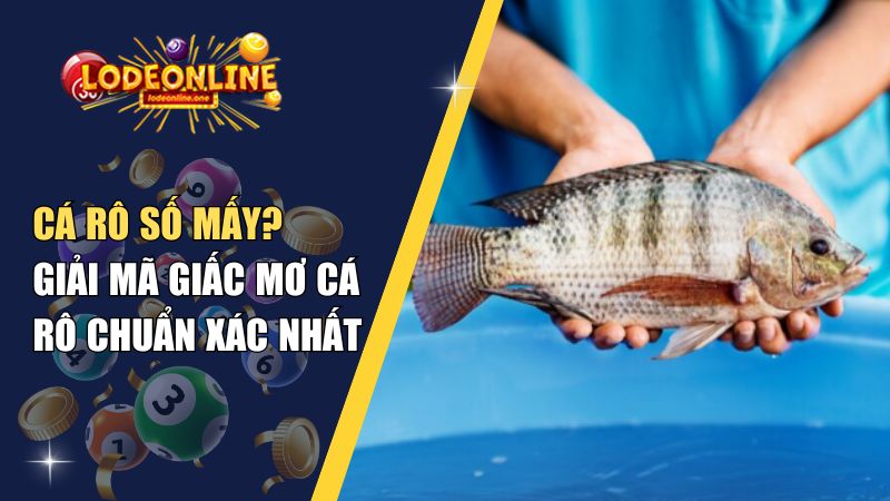 Cá Rô Số Mấy? Giải Mã Giấc Mơ Cá Rô Chuẩn Xác Nhất