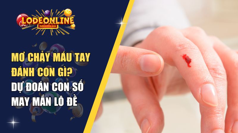 chảy máu tay đánh con gì