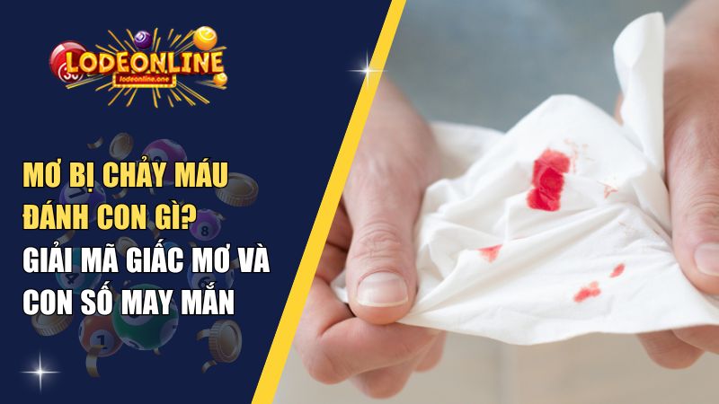 Mơ bị chảy máu đánh con gì